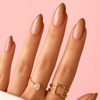 faux ongles ombré